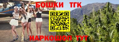 МДПВ Славгород