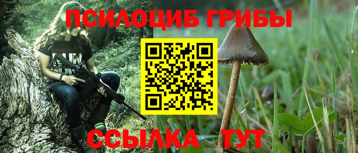 Псилоцибиновые грибы Psilocybe Сердобск