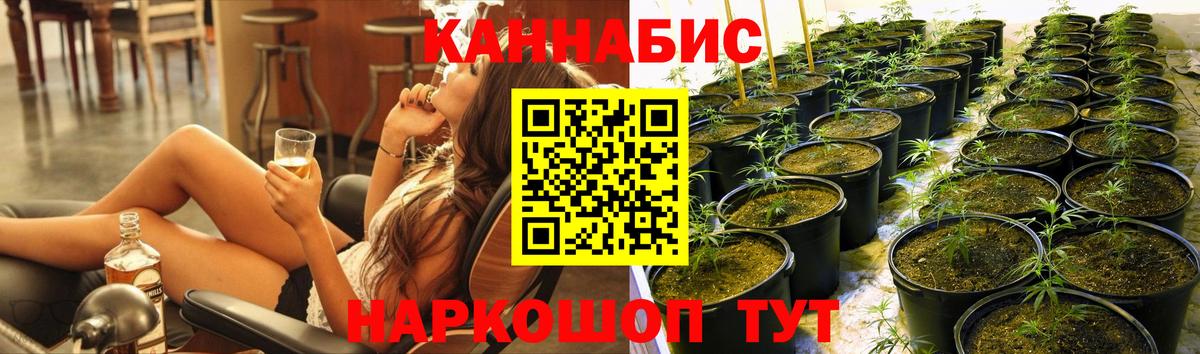 Шишки марихуана Ganja  Каннабис THC 21%  Вход с VPN  Бошки Шишки тримм  Сердобск 